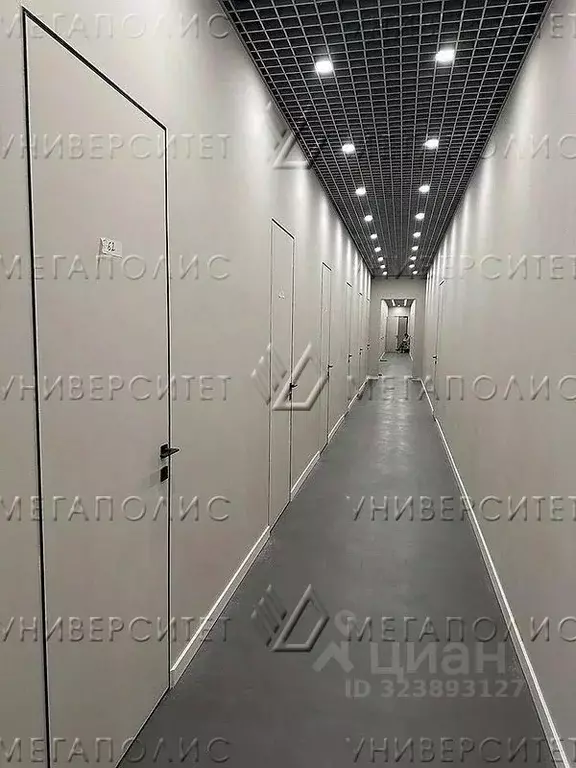 Офис в Московская область, Дедовск г. Истра муниципальный округ, ул. ... - Фото 2