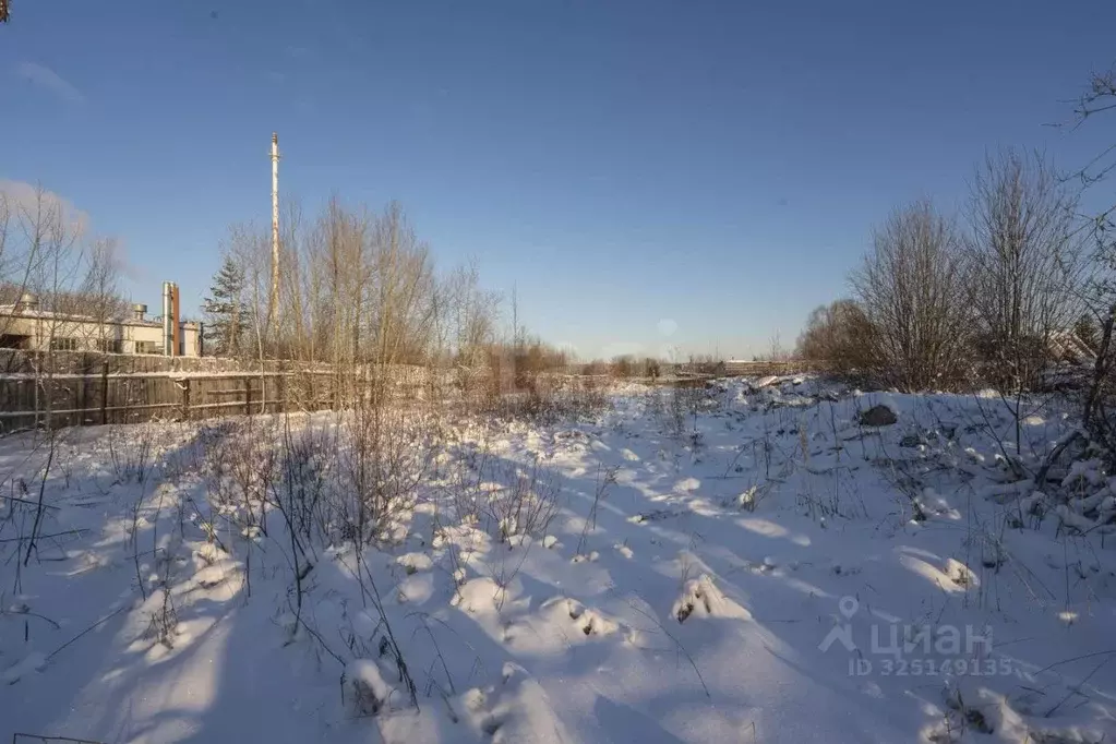 Участок в Пермский край, Пермский муниципальный округ, с. Ляды ул. ... - Фото 1