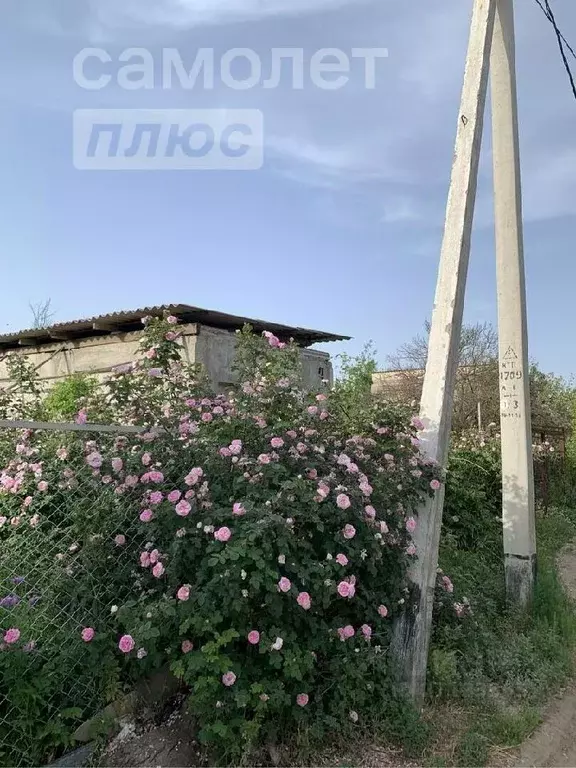 Дом в Астраханская область, Астрахань Болдинское СНТ, 83 (30 м) - Фото 0