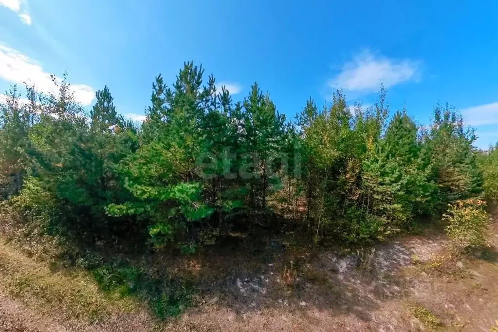 Участок в Тюменская область, Нижнетавдинский район, Озера Сундукуль ... - Фото 0