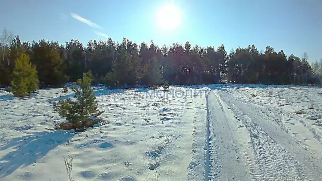 Участок в Нижегородская область, Нижний Новгород Зеленый Город кп,  ... - Фото 1