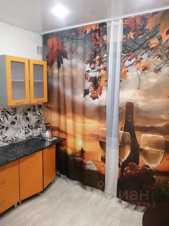 1-к кв. Калужская область, Калуга Строительный пер., 17 (36.0 м) - Фото 2