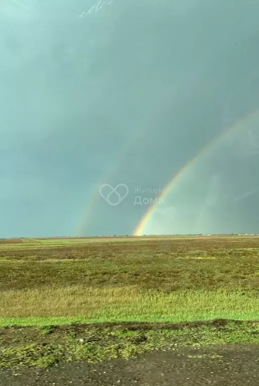 Участок в Волгоградская область, Светлоярский район, Дубовоовражное ... - Фото 0