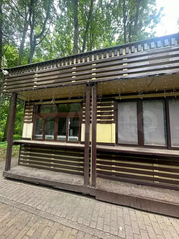Сдам помещение свободного назначения, 15 м - Фото 1