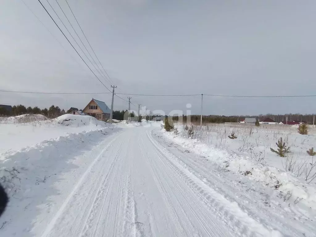Участок в Тюменская область, Нижнетавдинский район, д. Московка Косая ... - Фото 1