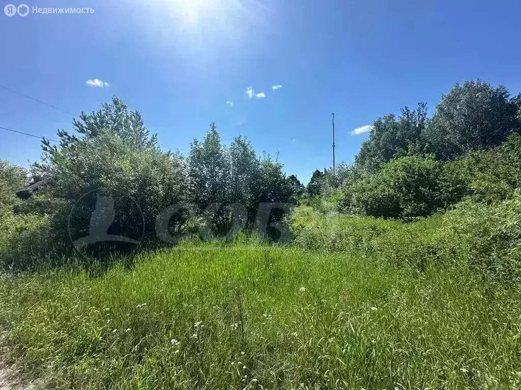 Участок в Тюменская область, Нижнетавдинский муниципальный округ, село ... - Фото 2