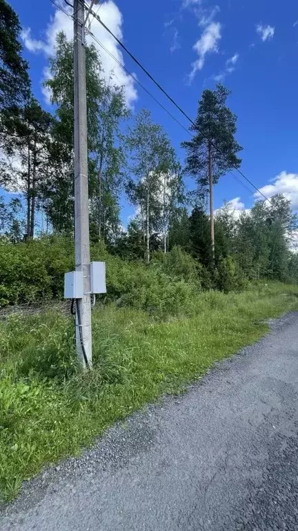 Участок в Ленинградская область, Сертолово Всеволожский район, Сияние ... - Фото 2