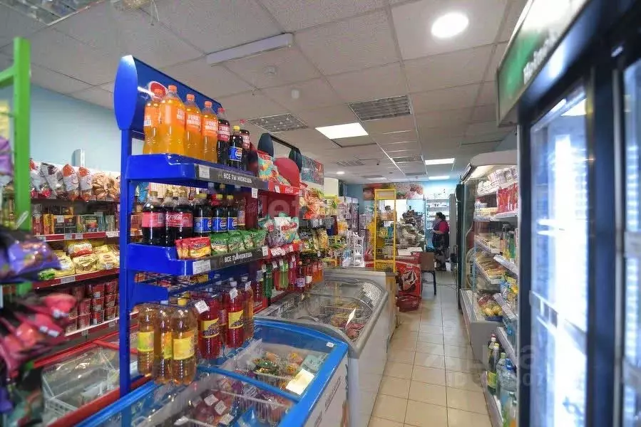 Торговая площадь в Сахалинская область, Южно-Сахалинск ул. Ленина, 246 ... - Фото 2