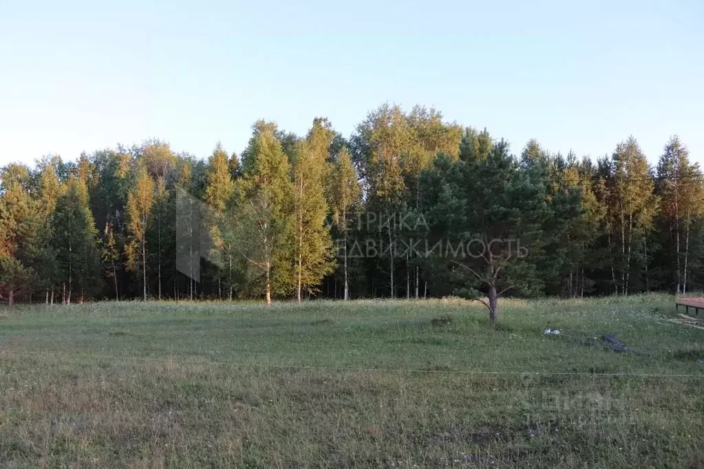 Участок в Тюменская область, Нижнетавдинский район, д. Московка  ... - Фото 1