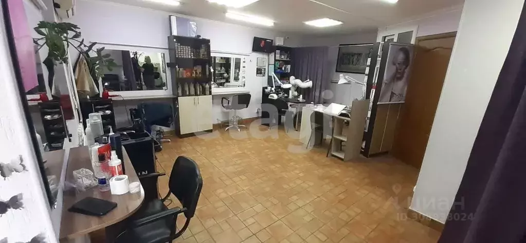 Помещение свободного назначения в Брянская область, Новозыбков ... - Фото 2