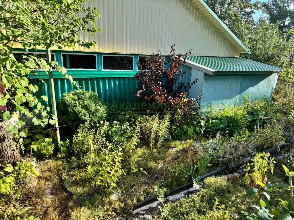 Дом в Саратов, СНТ Старые Пруды (58.4 м) - Фото 1