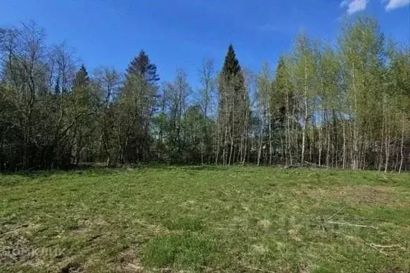 Участок в Ленинградская область, Тосненский район, Шапкинское с/пос, ... - Фото 1