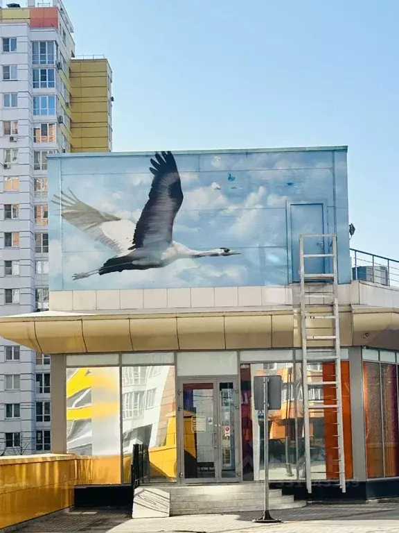 Помещение свободного назначения в Московская область, Видное ул. ... - Фото 1