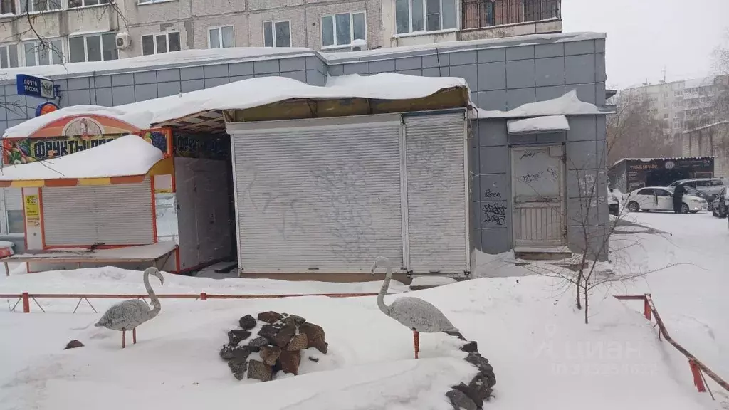 Торговая площадь в Новосибирская область, Новосибирск ул. Челюскинцев, ... - Фото 1