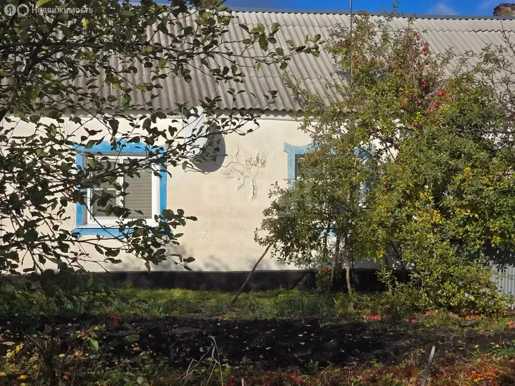 Дом в Каширский район, Дзержинское сельское поселение, посёлок им. ... - Фото 2