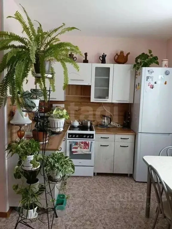 Студия Томская область, Томский район, Богашевское с/пос, пос. Ключи ... - Фото 2