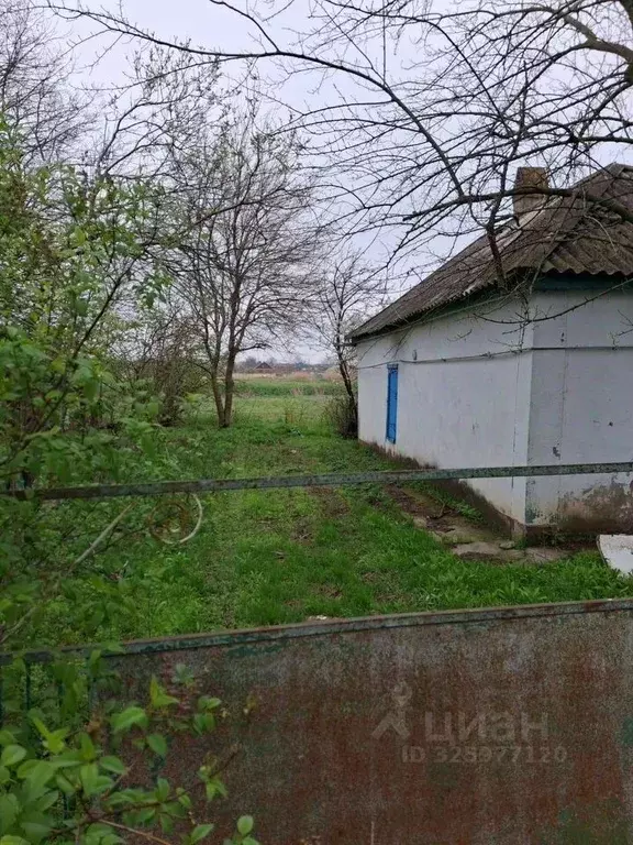 Дом в Краснодарский край, Калининский район, Джумайловское с/пос, ... - Фото 1
