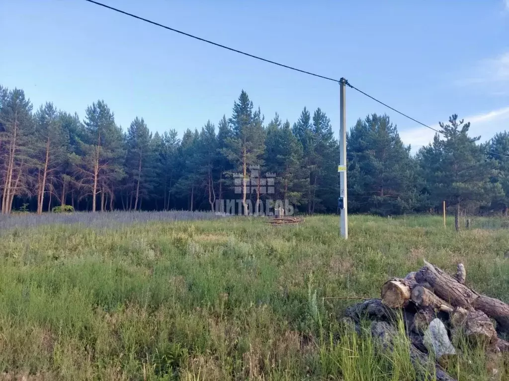 Участок в Воронежская область, Рамонский район, с. Новоживотинное  ... - Фото 1