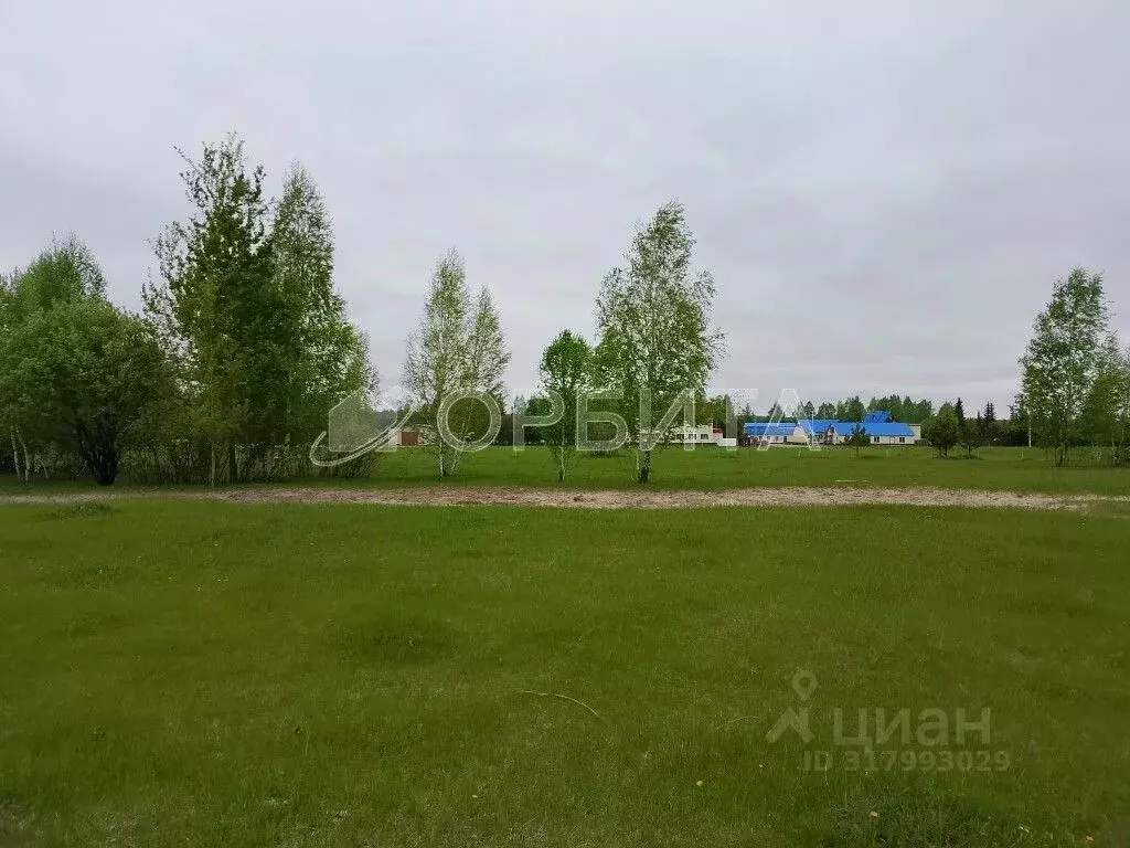 Участок в Тюменская область, Нижнетавдинский район, Полиграфист ... - Фото 0