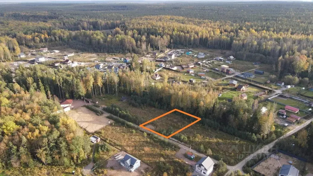 Участок в Ленинградская область, Приозерский район, Красноозерное ... - Фото 2