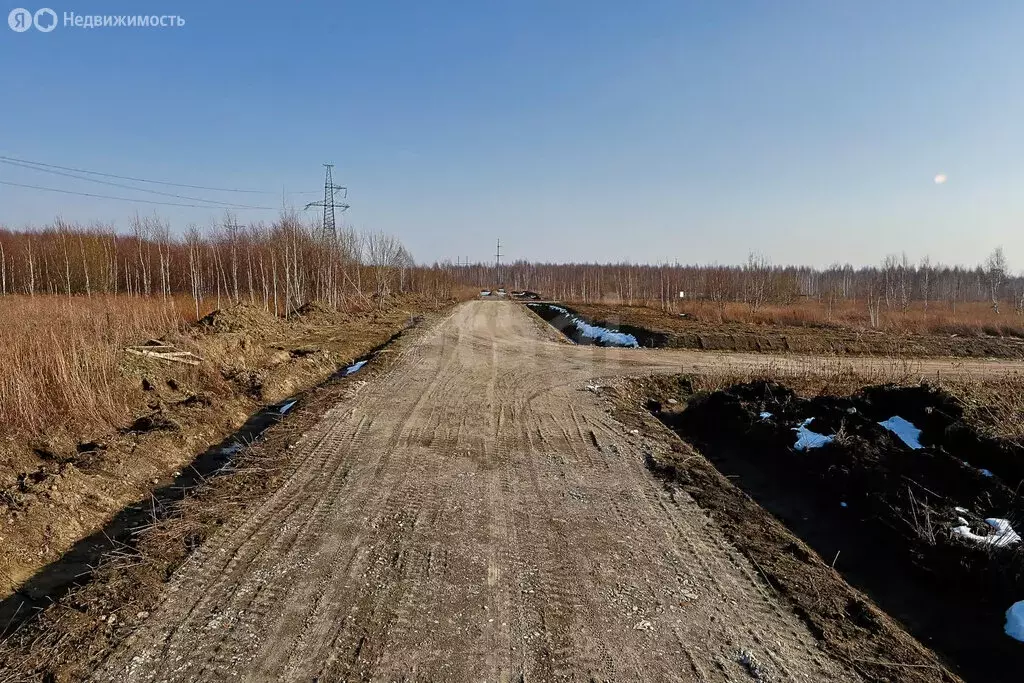 Участок в Калининградская область, Гурьевский муниципальный округ, ... - Фото 1