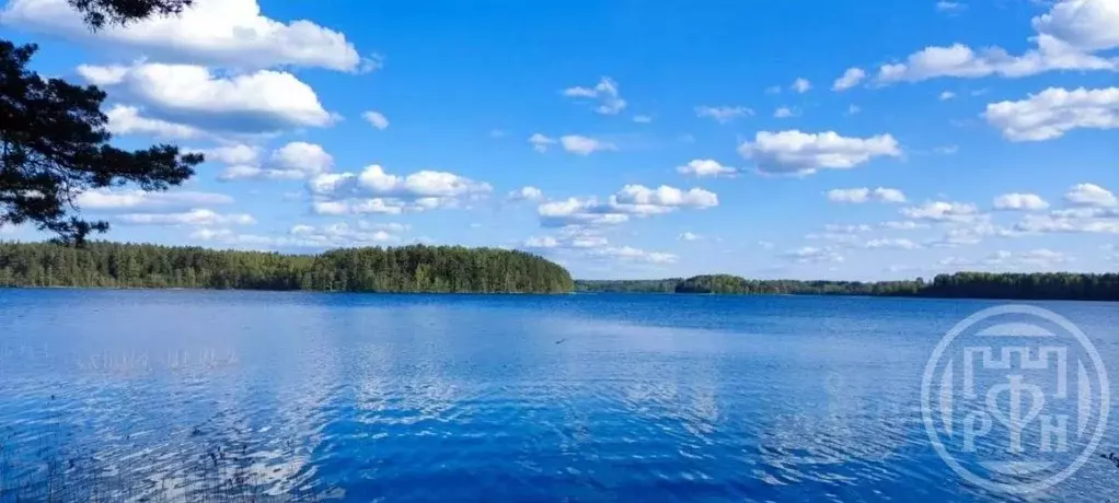 Участок в Псковская область, Пустошкинский район, Забельская волость, ... - Фото 2