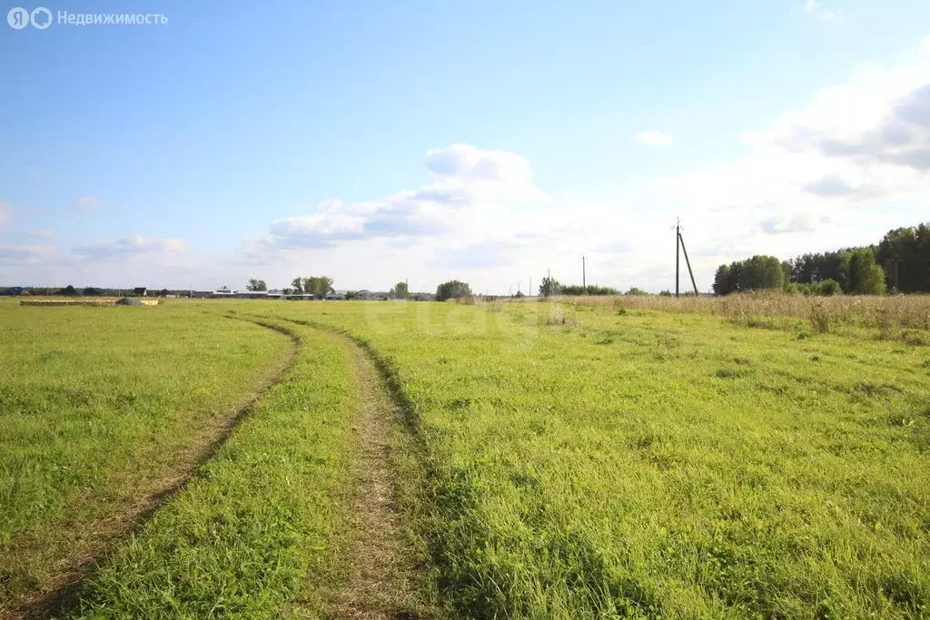 Участок в Нижний Тагил, Дзержинский район (7 м) - Фото 2