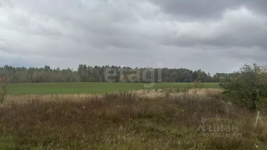Участок в Нижегородская область, Богородский муниципальный округ, с. ... - Фото 1