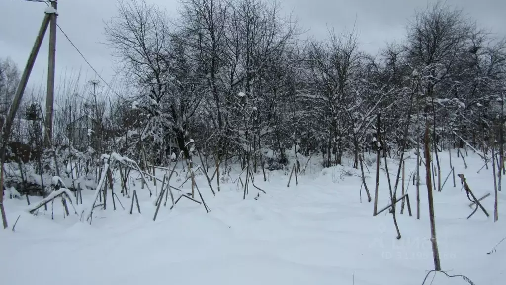 Участок в Московская область, Рузский муниципальный округ, д. ... - Фото 1