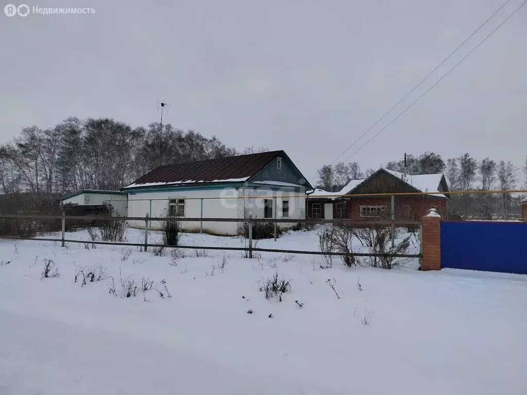 Дом в Омская область, Азовский немецкий район, село Привальное, Новая ... - Фото 0