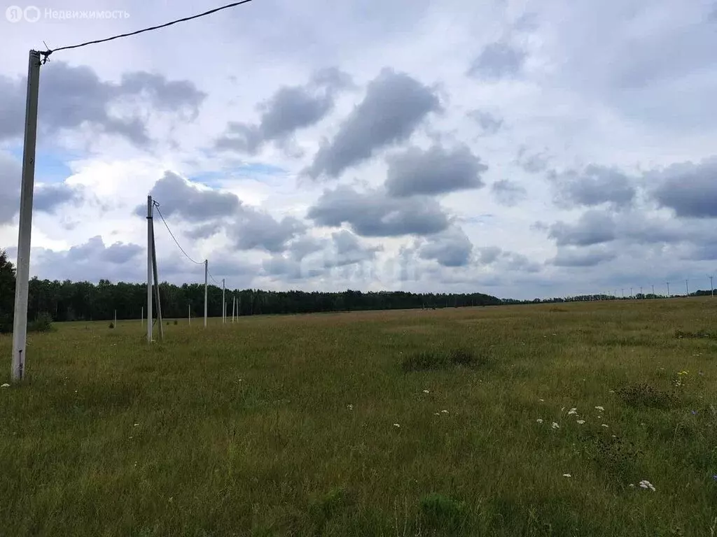 Участок в Фирсово, Изумрудная улица, 25 (10 м) - Фото 0