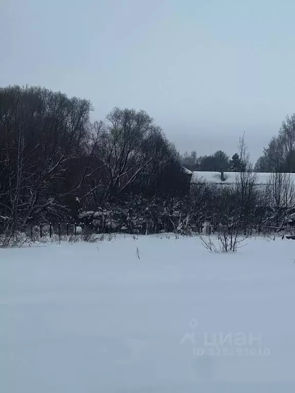 Участок в Московская область, Подольск городской округ, д. Никулино 18 ... - Фото 2