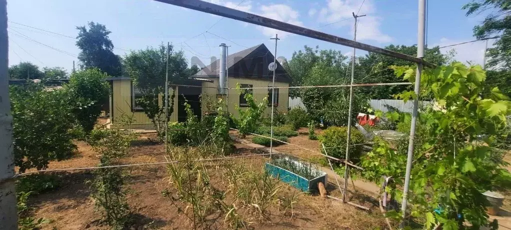 Дом в Адыгея, Майкоп Садовод-2 СНТ, ул. Малиновая (46 м) - Фото 1