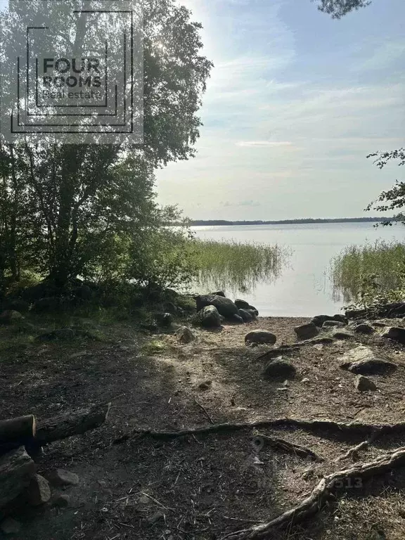 Участок в Ленинградская область, Приозерский район, Ларионовское ... - Фото 1