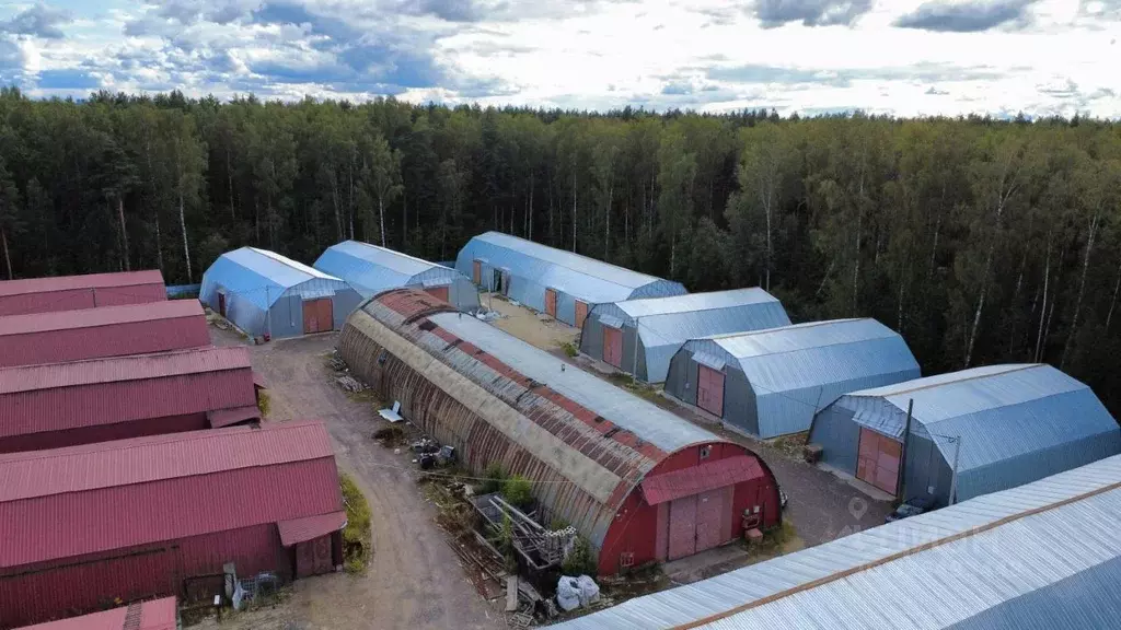 Склад в Ленинградская область, Ломоносовский район, Аннинское ... - Фото 1