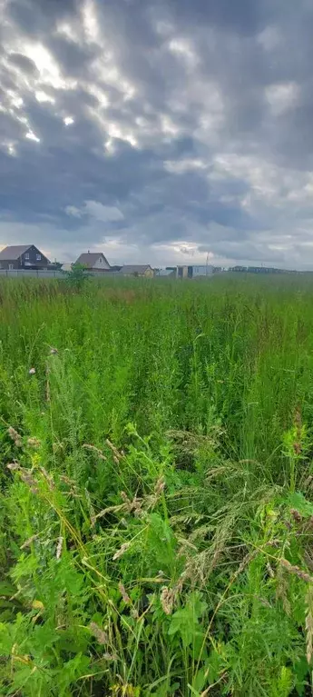 Участок в Башкортостан, Благовещенск ул. Рощинская (10.0 сот.) - Фото 1