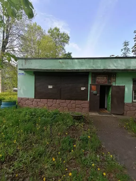 Помещение свободного назначения в Смоленская область, Ярцево Школьная ... - Фото 1