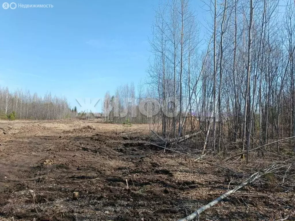 Участок в деревня Кисловка, СТ Урожай (6 м) - Фото 1