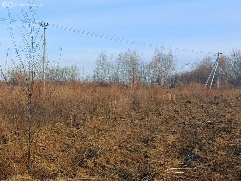 Участок в Хабаровский район, село Краснореченское (1300 м) - Фото 1