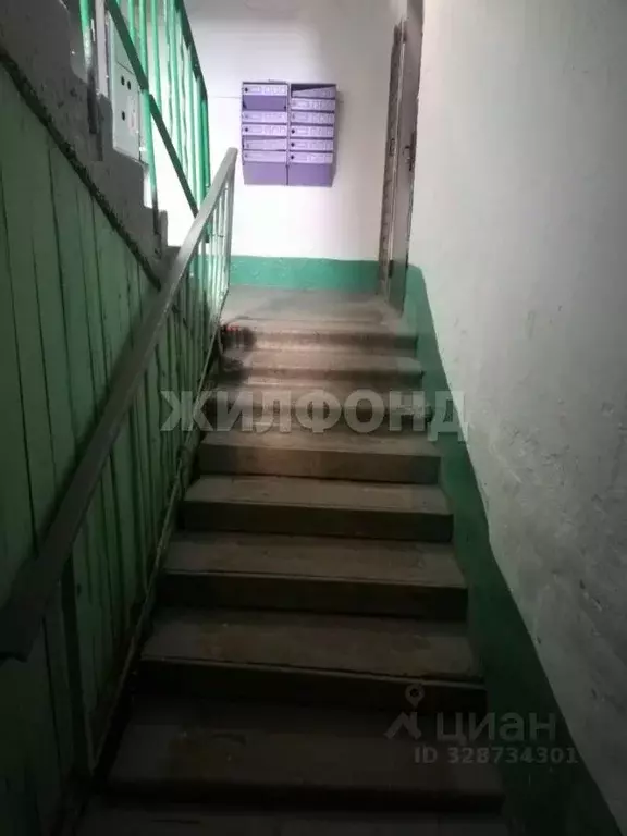 2-к кв. Забайкальский край, Борзинский муниципальный округ, Шерловая ... - Фото 2