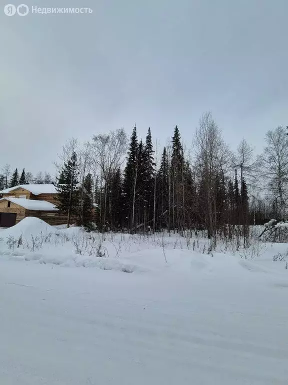 Участок в Усть-Илимск, улица Ровесников (15 м) - Фото 2