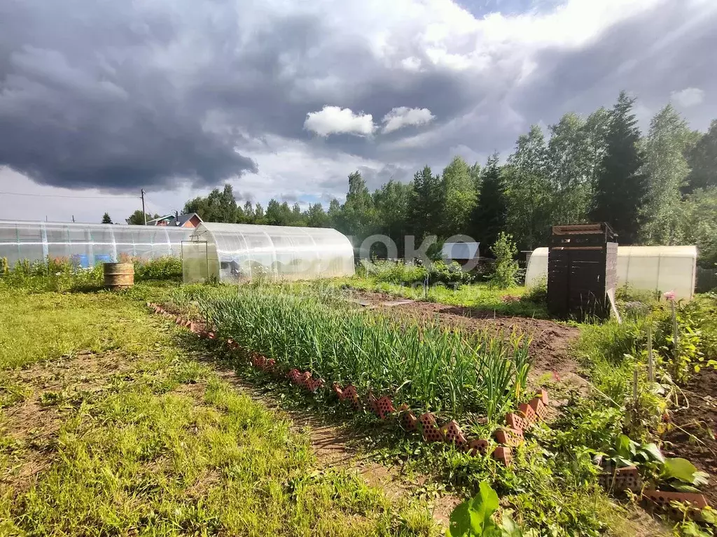 Дом в Пермский край, Березники № 61 СНТ, 42 (25 м) - Фото 2