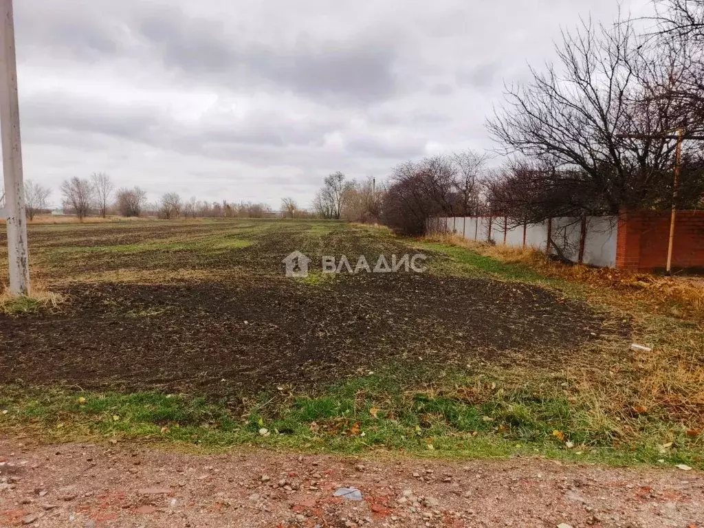 Участок в Краснодарский край, Ейский район, Ясенская ст-ца Шиловская ... - Фото 0