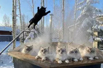 Дом в Московская область, Клин городской округ, ДНП Радости Парк 1 ... - Фото 1