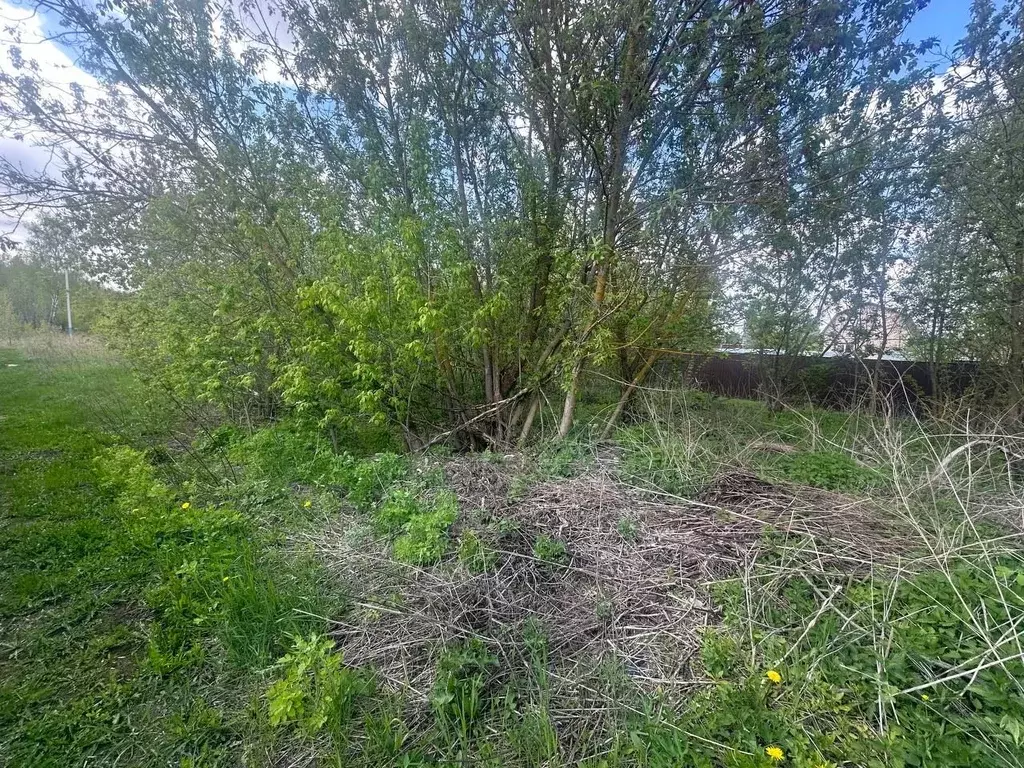 Участок в Московская область, Богородский городской округ, д. Белая  ... - Фото 1