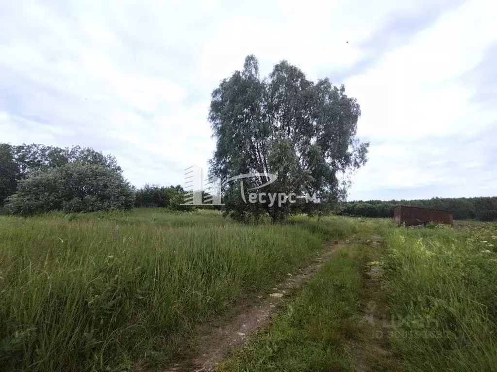 Участок в Нижегородская область, Выкса городской округ, д. Змейка ул. ... - Фото 1