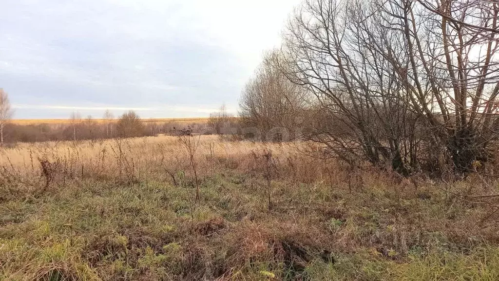 Участок в Мордовия, Большеберезниковский район, с. Нерлей Центральная ... - Фото 0