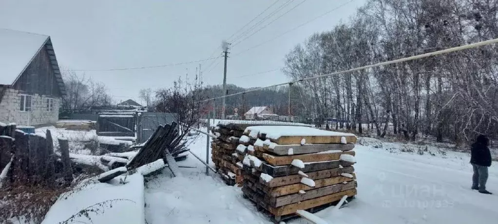 Участок в Новосибирская область, Ордынский район, с. Новопичугово  ... - Фото 1