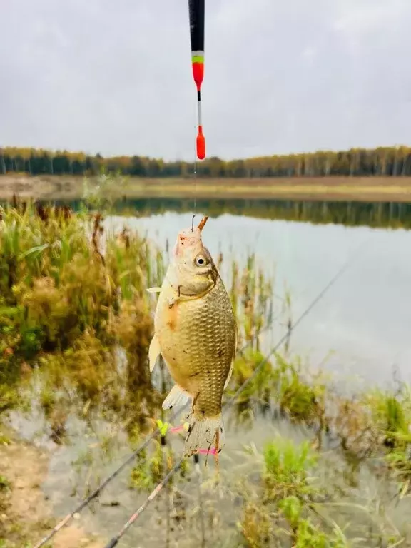 Коттедж в Московская область, Рузский муниципальный округ, д. ... - Фото 2