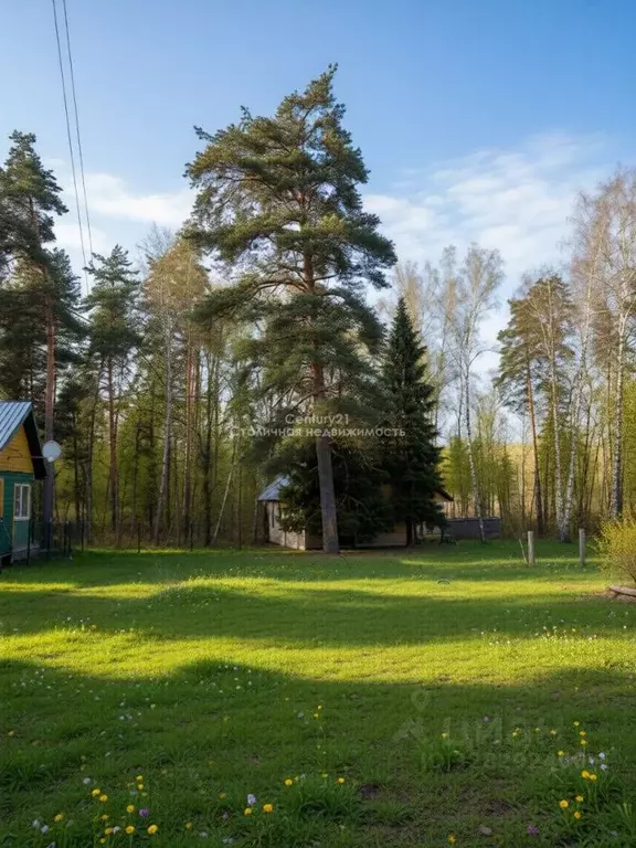 Участок в Московская область, Домодедово городской округ, пос. ... - Фото 1